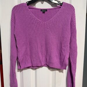 Purple Ribbed V-Neck Wild Fable Cropped Sweater